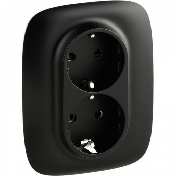 Силовая розетка LEGRAND Valena ALLURE двойная 2х2К+З 16А 250В с лицевой панелью с защитными шторками безвинтовые зажимы антрацит Силовая розетка LEGRAND Valena ALLURE двойная 2х2К+З 16А 250В с лицевой панелью с защитными шторками безвинтовые зажимы антрацит